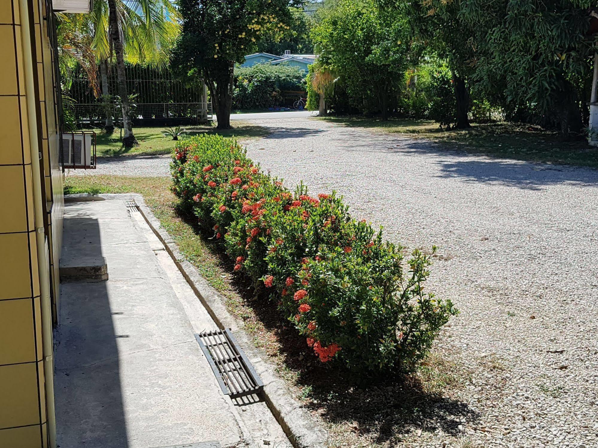Hotel Nicoya Exteriér fotografie
